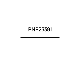 PMP23391